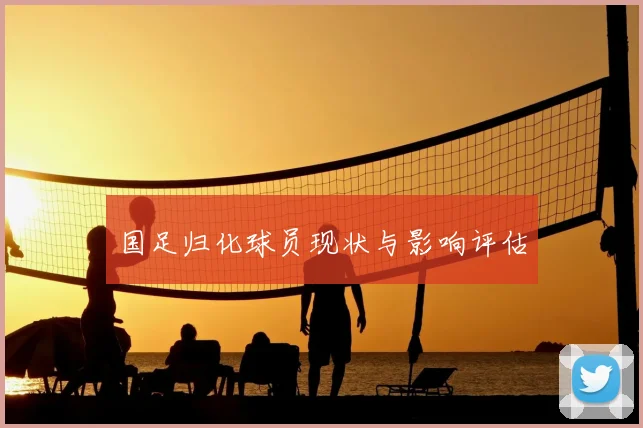国足归化球员现状与影响评估